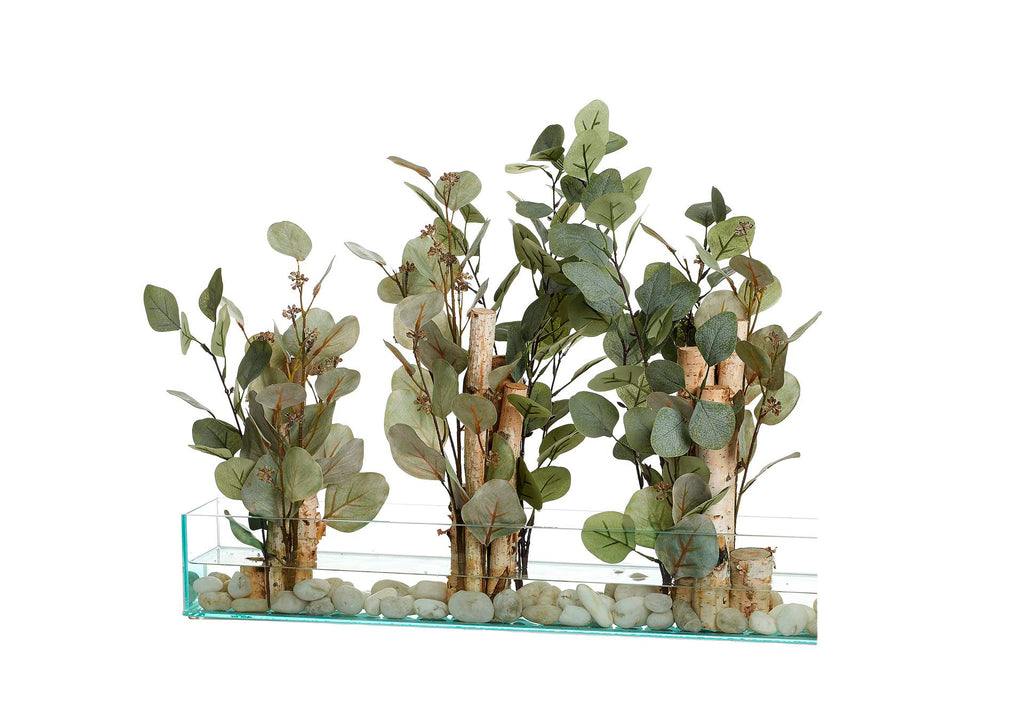 236025 Silver Dollar,Eucalyptus,& Birch in Rectangle Glass