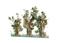 236025 Silver Dollar,Eucalyptus,& Birch in Rectangle Glass