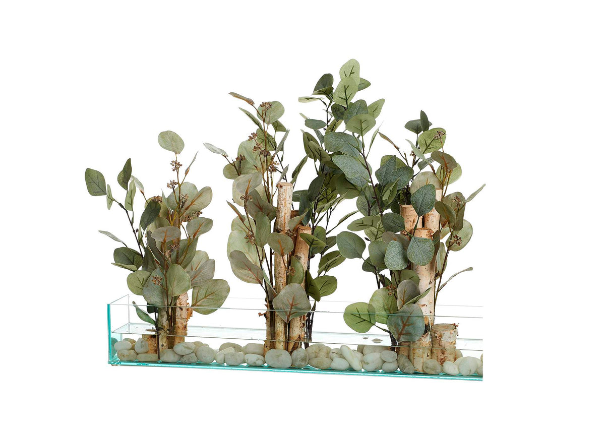 236025 Silver Dollar,Eucalyptus,& Birch in Rectangle Glass
