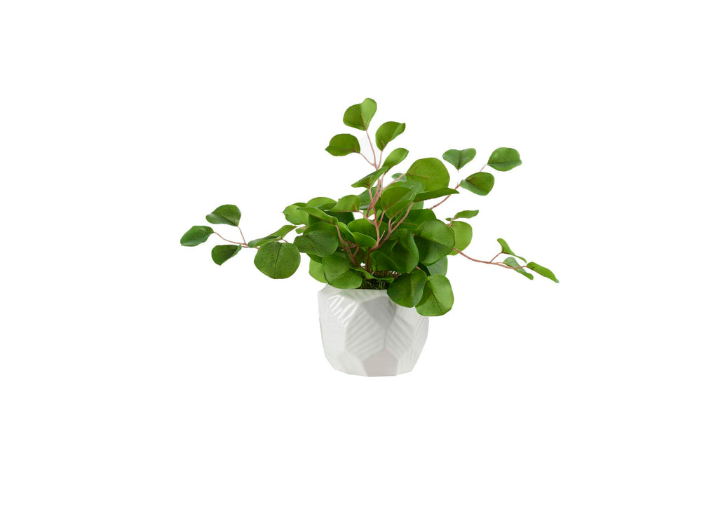 239031 Eucalyptus in Medium White Geometric Planter
