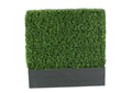 312118 4' Boxwood Hedge