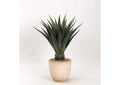 317111 48" Jumbo Agave Plant in Round Resin Planter
