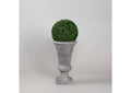 317410 Boxwood Ball in Tall Grey Urn