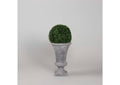 317411 Boxwood Ball in Medium Grey Urn