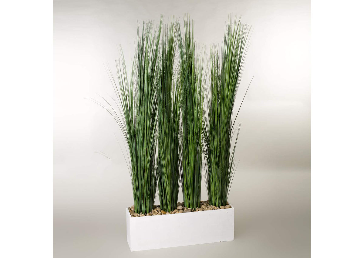317418 Tall Onion Grass Screen in White Wooden Rectangle Planter