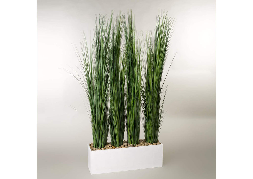 317418 Tall Onion Grass Screen in White Wooden Rectangle Planter