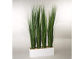 317418 Tall Onion Grass Screen in White Wooden Rectangle Planter