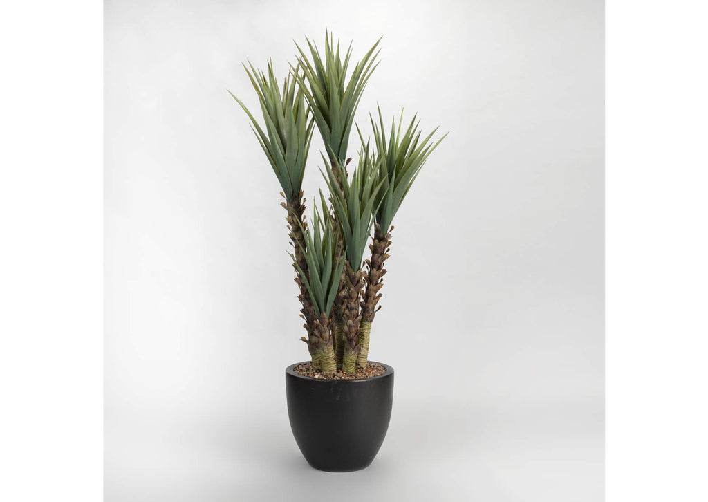 317903 5.5' Yucca Plant in Black Round Planter