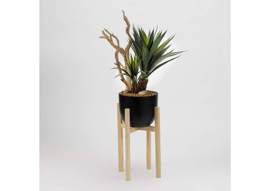 318916 Yucca Plant With Ghostwood in Black Resin Bowl With Wood Stand