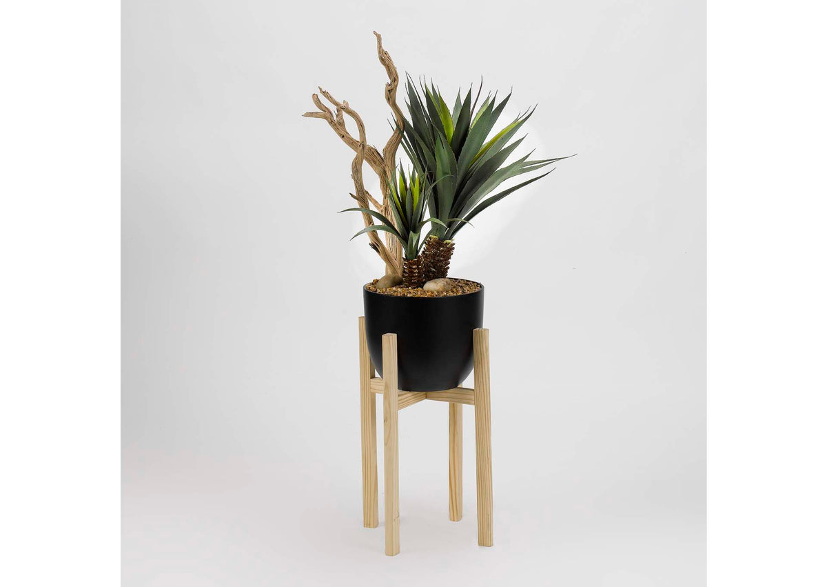 318916 Yucca Plant With Ghostwood in Black Resin Bowl With Wood Stand