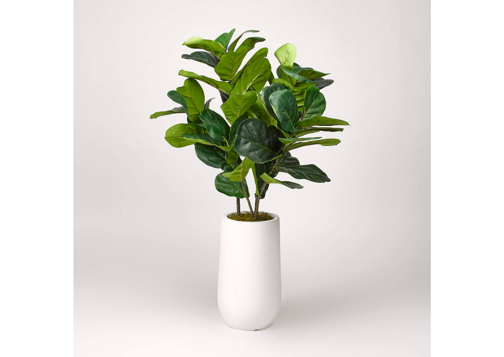 319111 Natural Touch Fiddle Leaf Fig Plant in Round White Planter