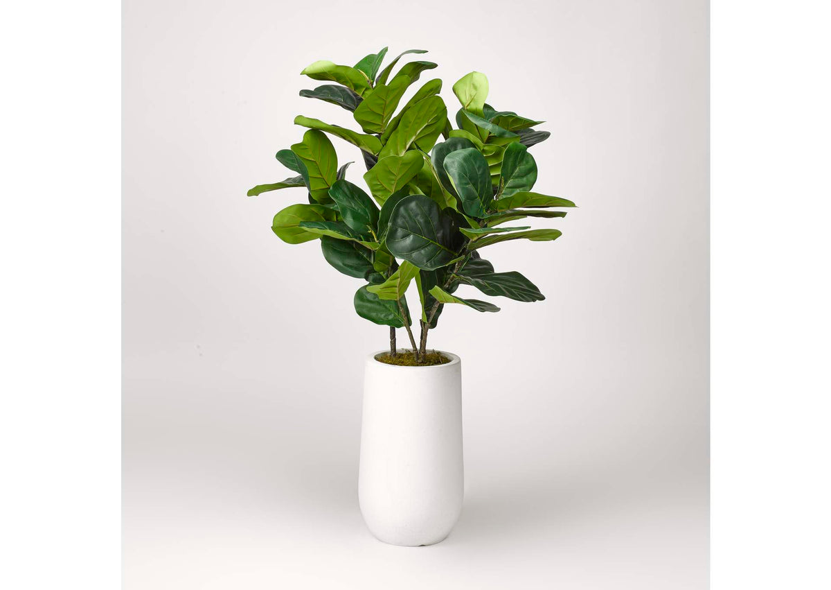 319111 Natural Touch Fiddle Leaf Fig Plant in Round White Planter