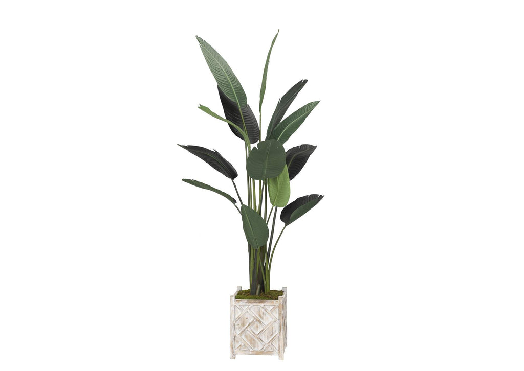319116 6.5' Traveler Palm Tree in Square Wooden Planter