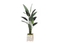 319116 6.5' Traveler Palm Tree in Square Wooden Planter