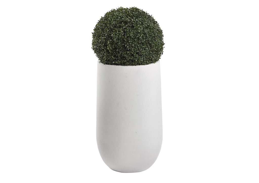 319403 50" Boxwood Ball in Round White Resin Planter