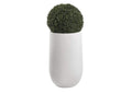 319403 50" Boxwood Ball in Round White Resin Planter