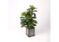 319705 42" Brazilian Fiddle Leaf Fig Plant in Square Metal Wood Planter