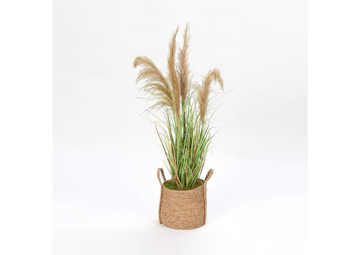 319906 Reed Grass in Round Natural Basket