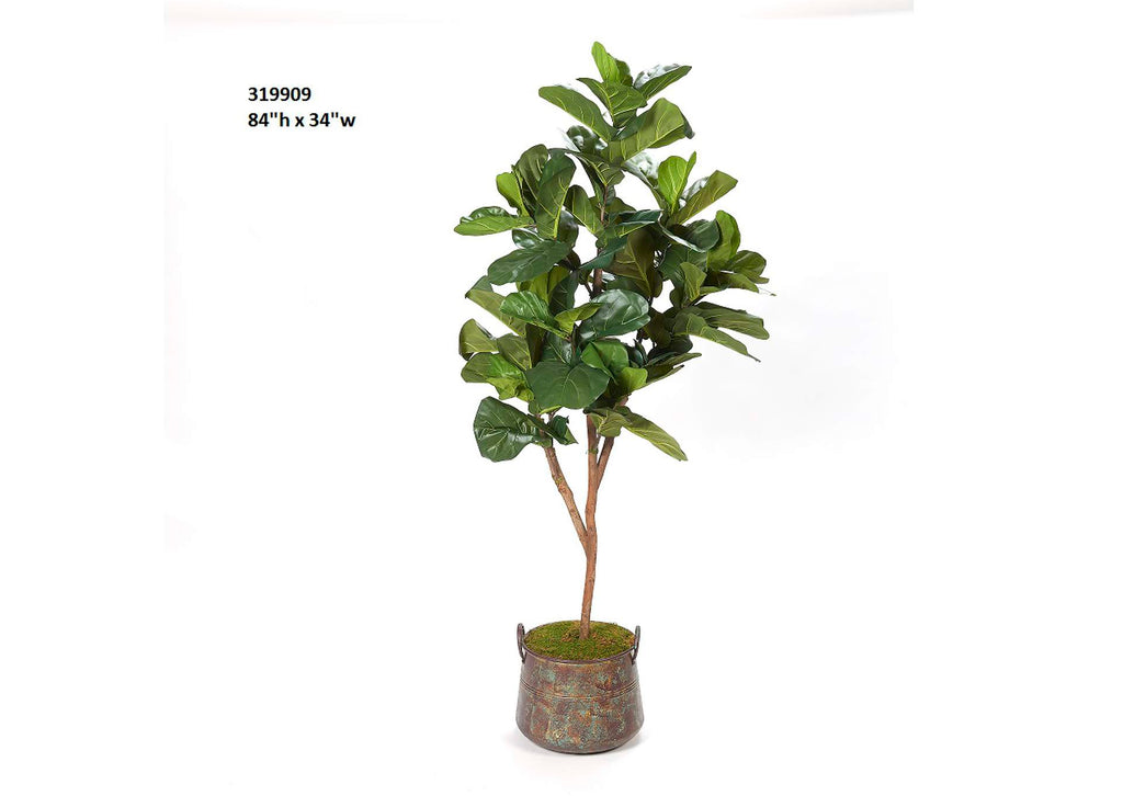 319909 7' Fiddle Leaf Fig Tree in Aged Copper Planter