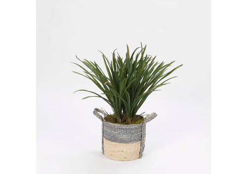 319912 24" 20" Areca Grass in Grey and Tan Round Basket With Handles
