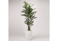 320414 8' Deluxe Bamboo Tree in White Resin Planter