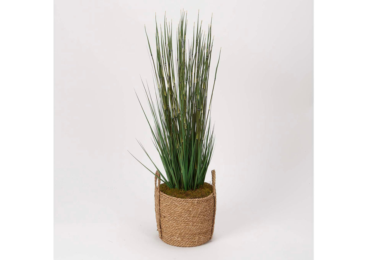 320420 Onion Grass in Round Tan Basket