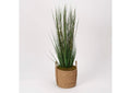320420 Onion Grass in Round Tan Basket