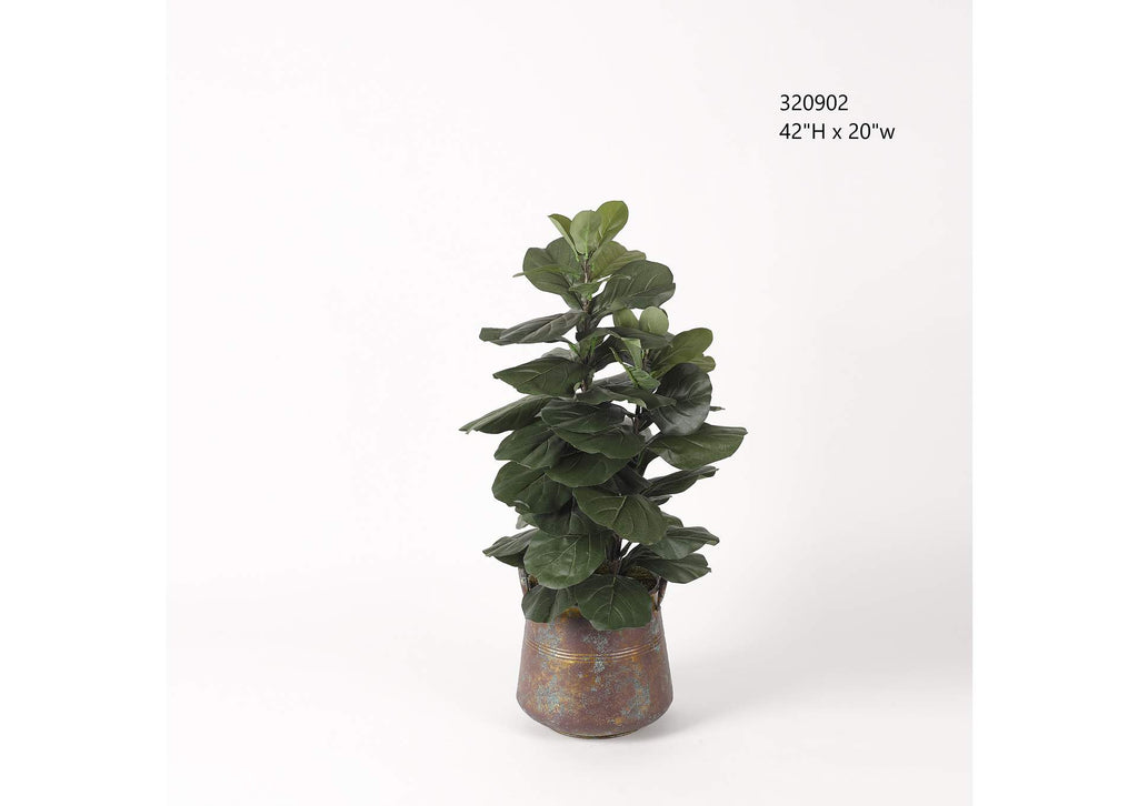 320902 Fiddle Leaf Fig in Aged Copper Planter