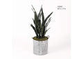 320903 38" Mother in Law'S Tongue in Tin Planter