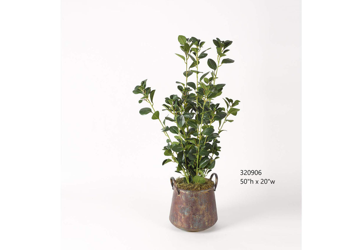 320906 Leafy Plant in Aged Copper Planter
