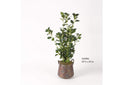 320906 Leafy Plant in Aged Copper Planter