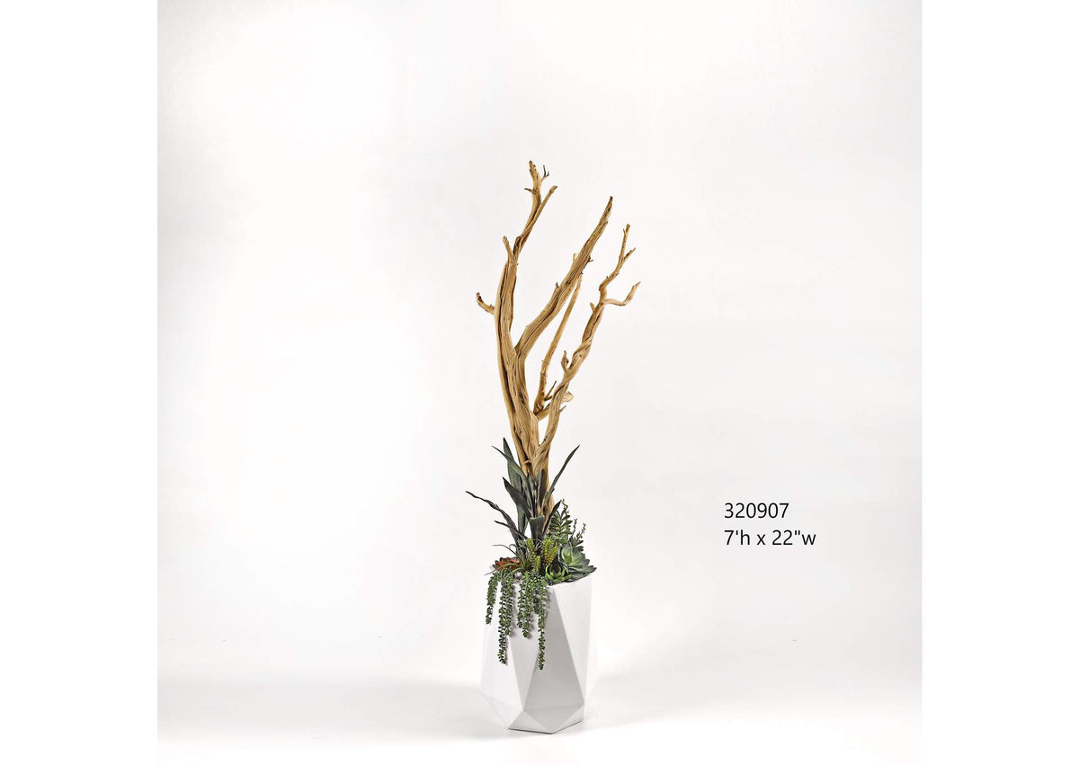 320907 7' Ghostwood With Succulents and Greenery in White Resin Planter