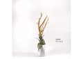 320907 7' Ghostwood With Succulents and Greenery in White Resin Planter