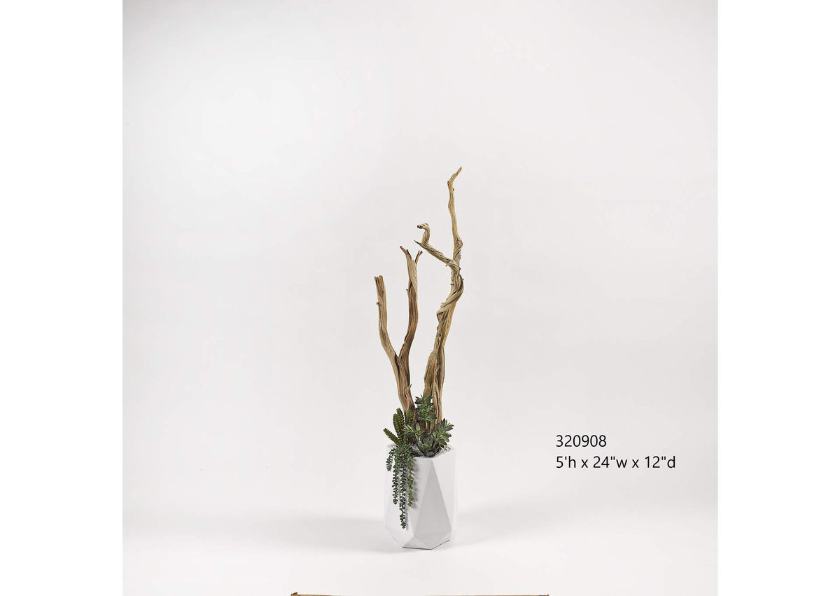 320908 5' Ghostwood With Succulents and Greenery in White Resin Planter
