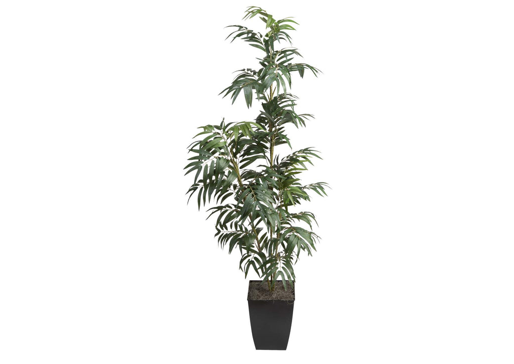 320924 6' Phoenix Palm in Black Square Metal Planter