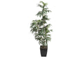 320924 6' Phoenix Palm in Black Square Metal Planter