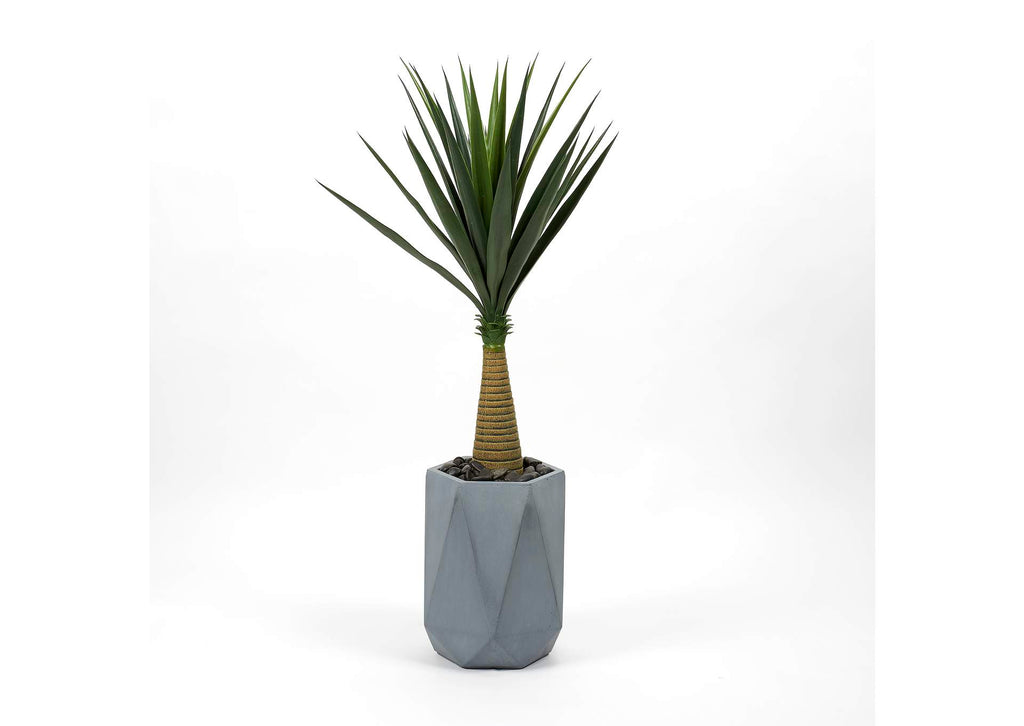 321210 Sisal Tree in Grey Geometric Planter