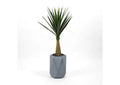 321210 Sisal Tree in Grey Geometric Planter