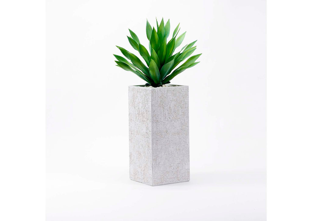 321213 Large Desert Succulent in Tall Square White Planter