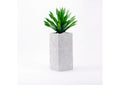 321213 Large Desert Succulent in Tall Square White Planter