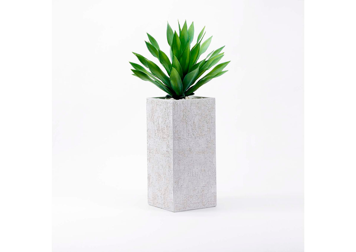 321213 Large Desert Succulent in Tall Square White Planter