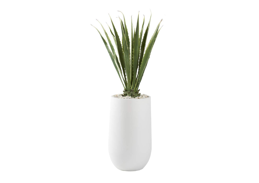 321217 5.5' Agave Plant in Large Round White Planter