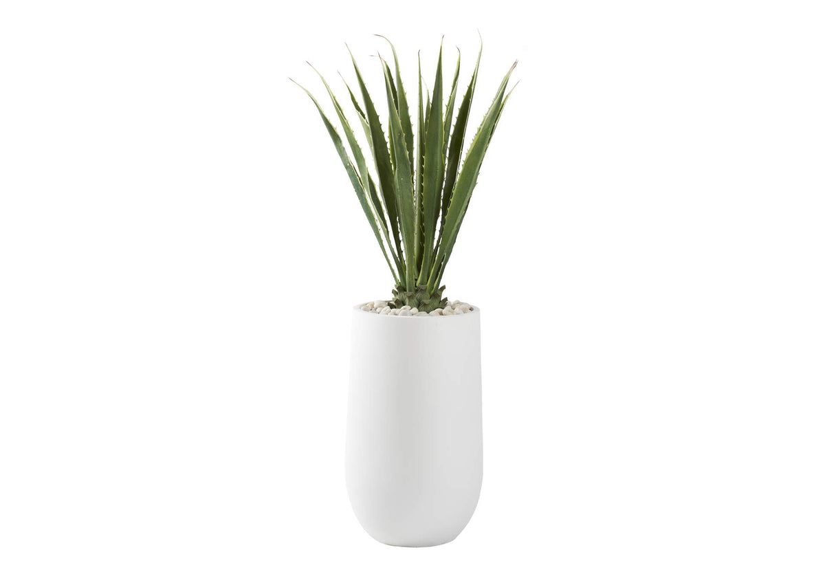 321217 5.5' Agave Plant in Large Round White Planter