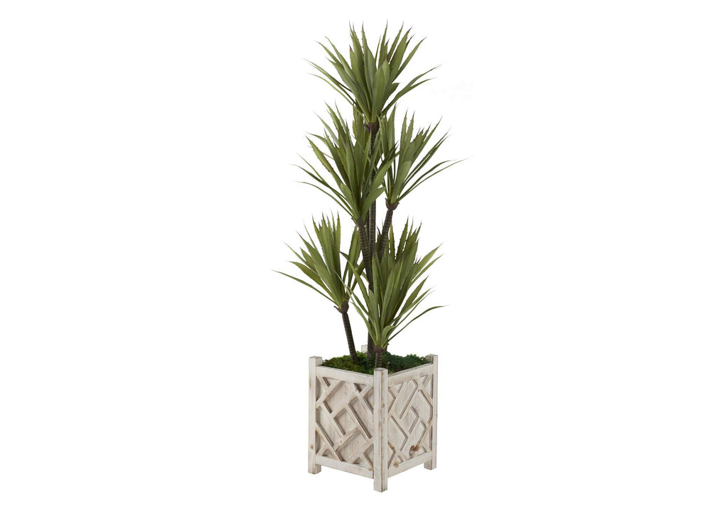 321236 48" Yucca Tree in Small White Wooden Box Planter