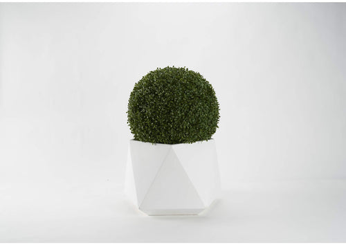 321237 28" Boxwood Ball in Large White Geometric Planter
