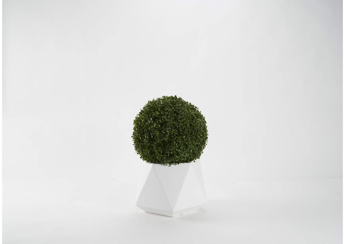 321238 23" Boxwood Ball in Medium White Geometric Planter