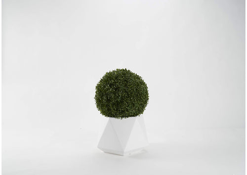 321238 23" Boxwood Ball in Medium White Geometric Planter
