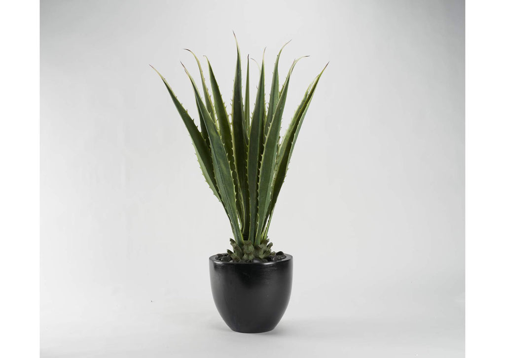 321267 48" Agave in Glossy Black Planter