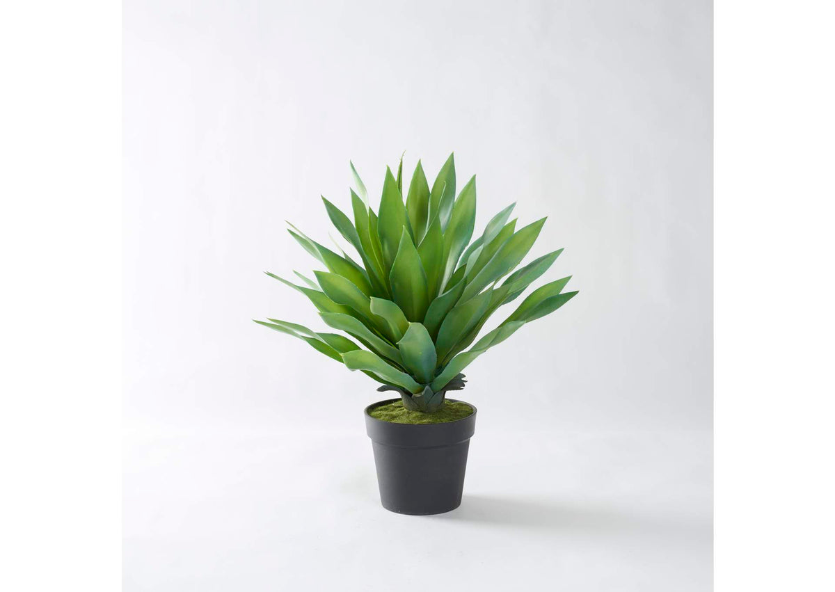 321281 25" Large Desert Succulent in Black Plastic Pot