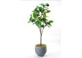 321869 7' Fiddle Leaf Fig Tree in Round Grey Planter